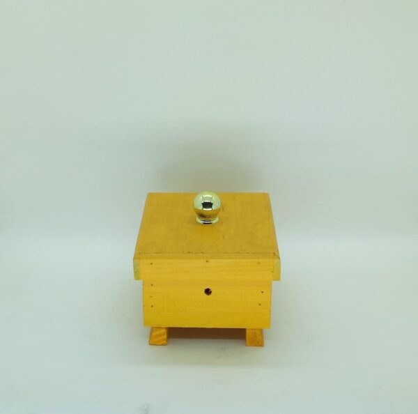 Colmeia para Abelha Mirim com Visor