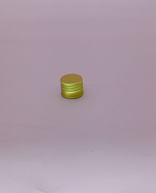 Tampa 31mm