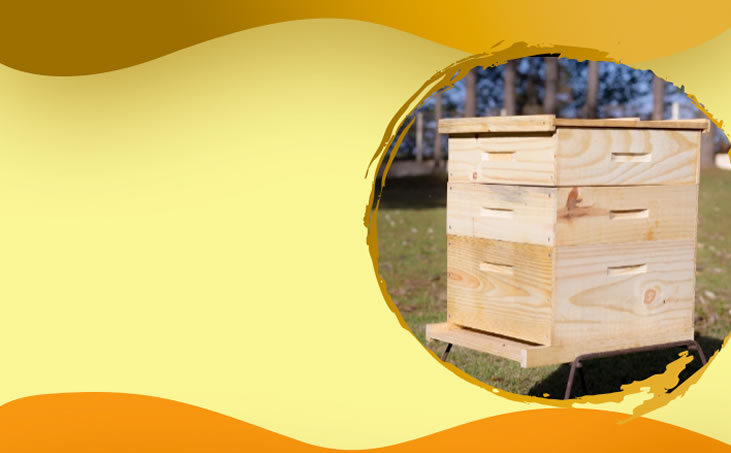 Colmeia Langstroth Completa